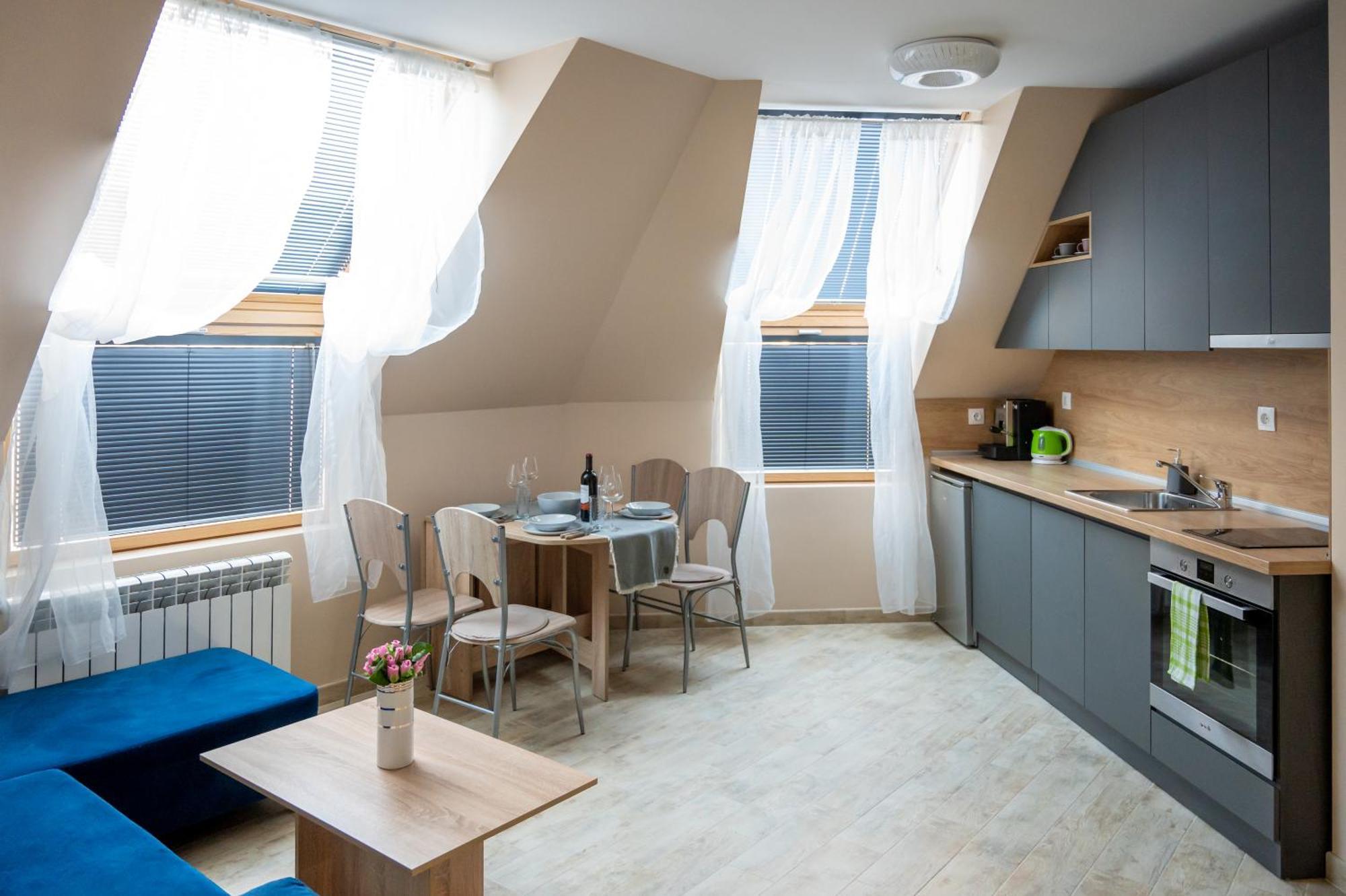 Apartment Design Loft In The Center Sofia